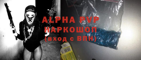 spice Бородино