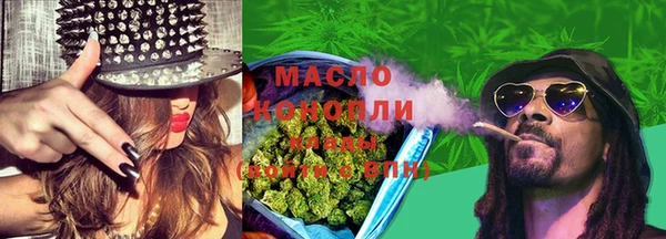 мдпв Богородск
